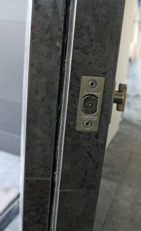 modern etched steel pivot door